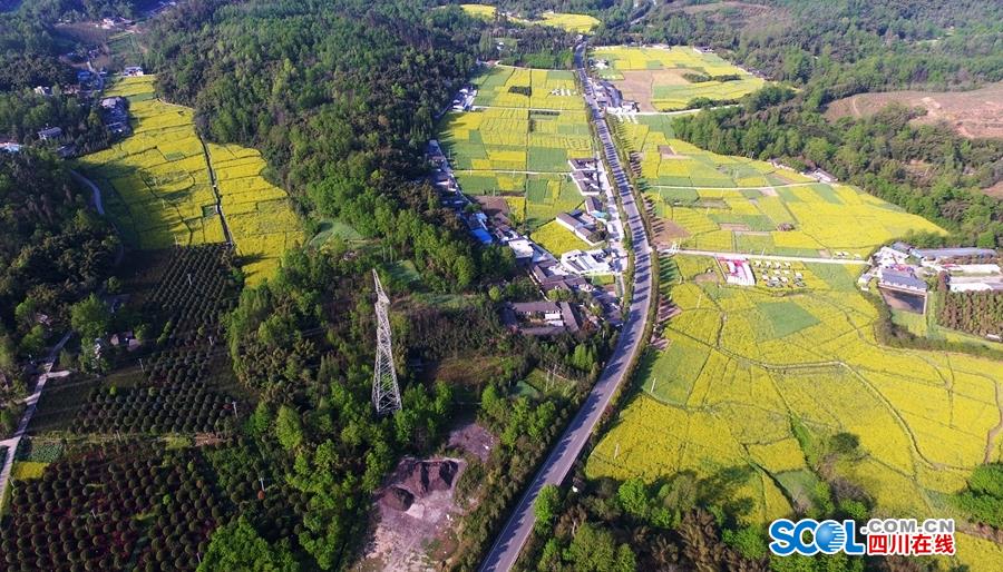 半岛在线登录官网-孙亚龙确诊中风