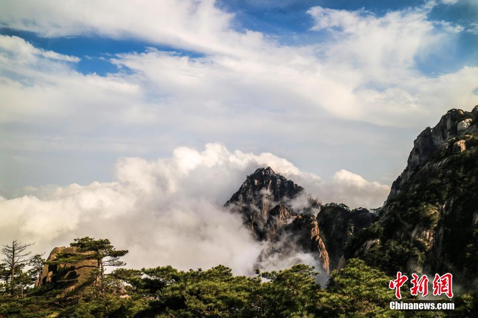 九州体育在线网址