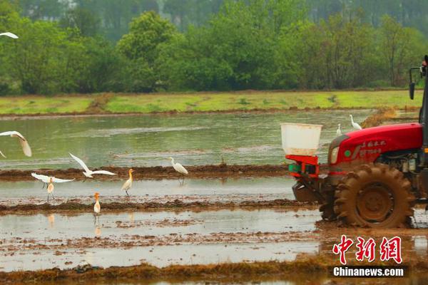 半岛最新登录网址-半岛最新登录网址