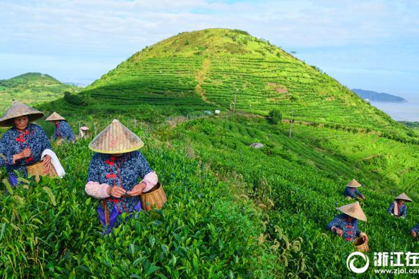 赢钱可提现的游戏-如何将旧金山愿景转为实景