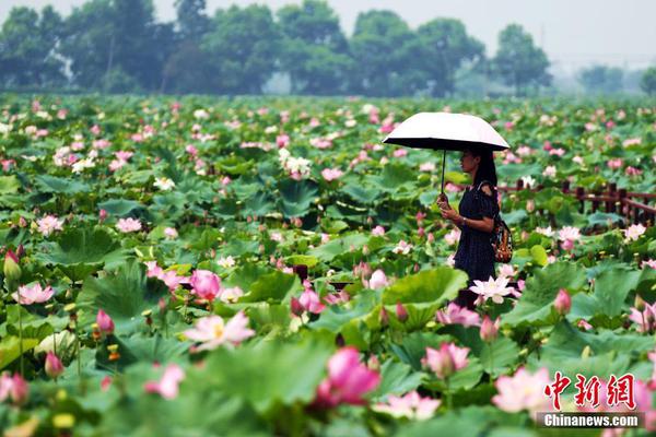 半岛网页版登录入口相关推荐4