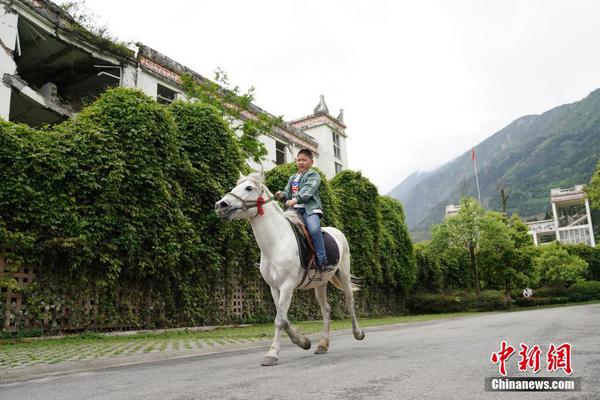 华体育会在线登录