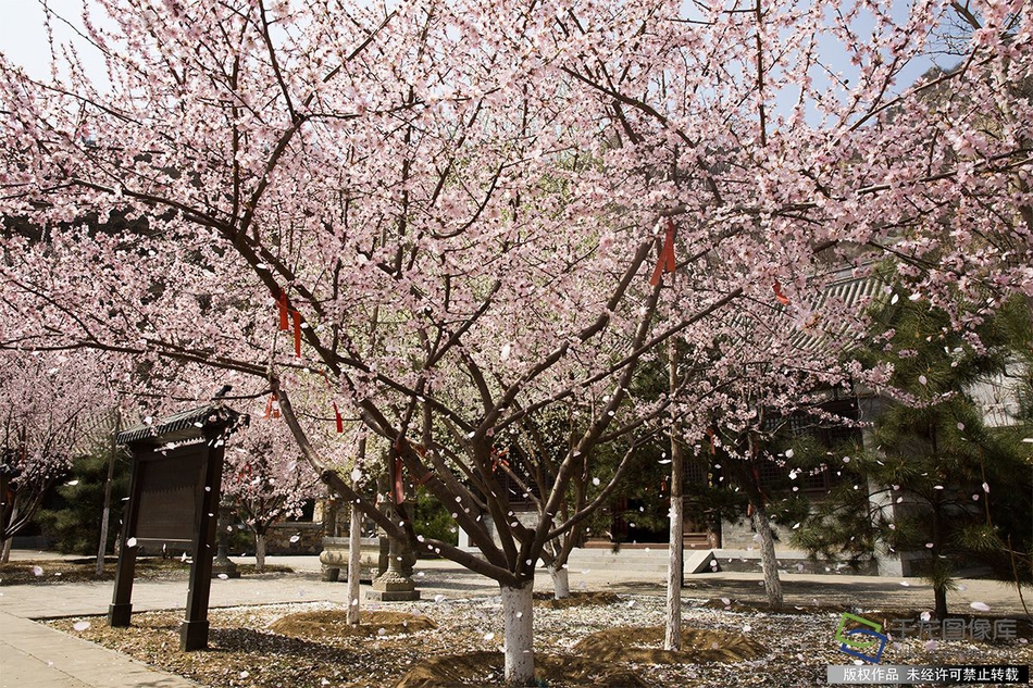 半岛在线登录入口-半岛在线登录入口