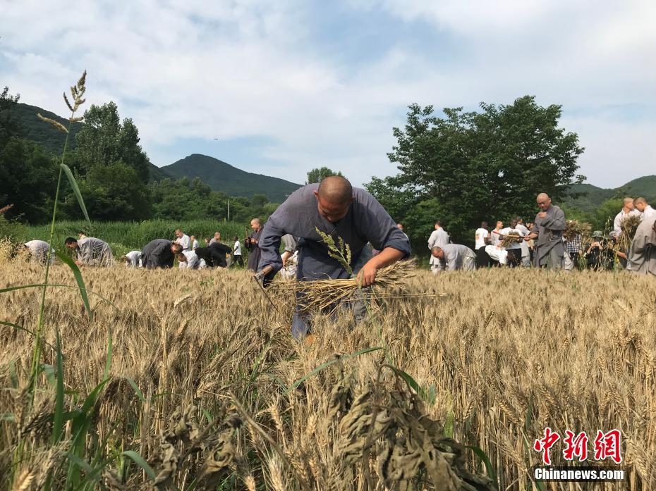 bob在线官网相关推荐1