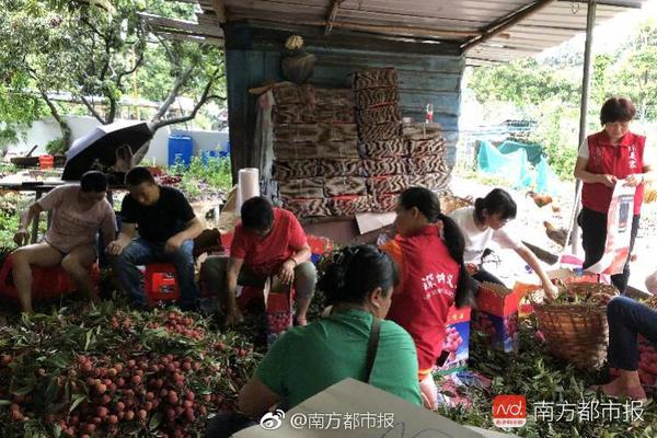 半岛在线登录下载相关推荐2”