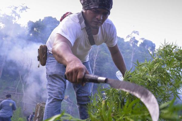 半岛在线登录官网相关推荐8