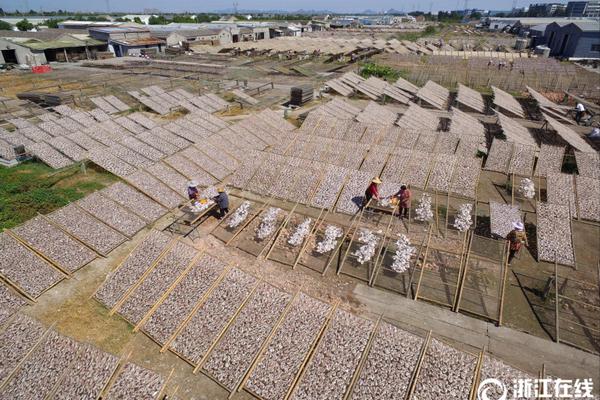 ob欧宝在线登录相关推荐8