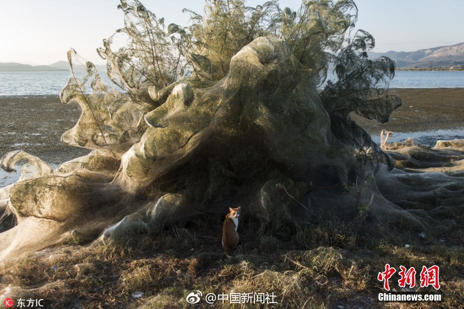 乐竞官网登录入口