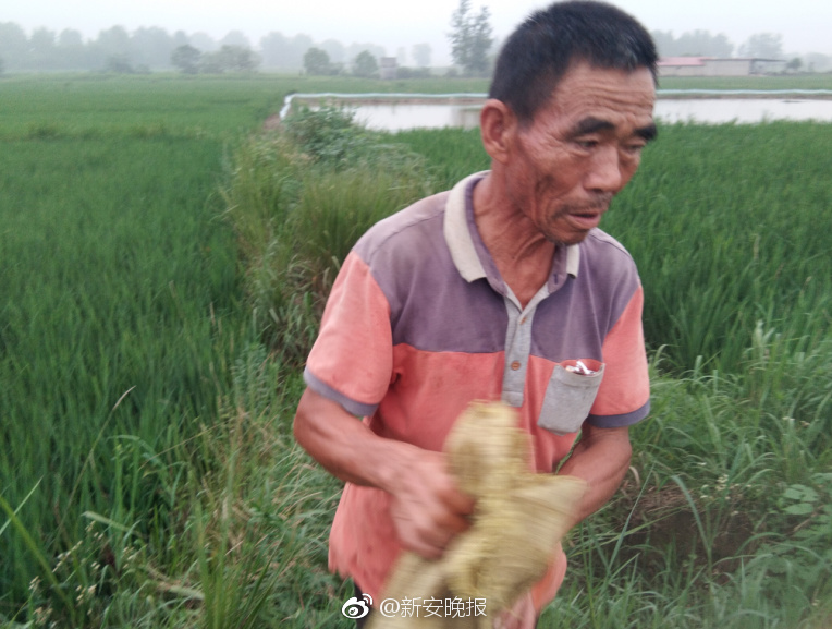 开云苹果下载app相关推荐7