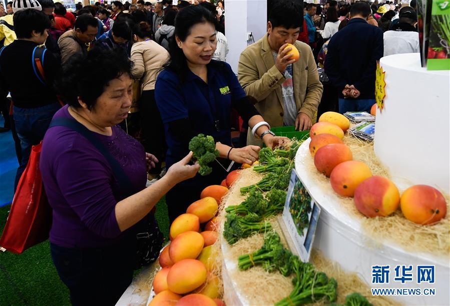 免费的网页入口无需下载-免费的网页入口无需下载