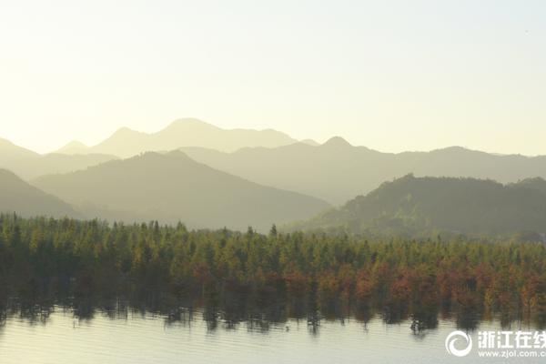 开云游戏app平台-成都迪士尼已经开始出周边了