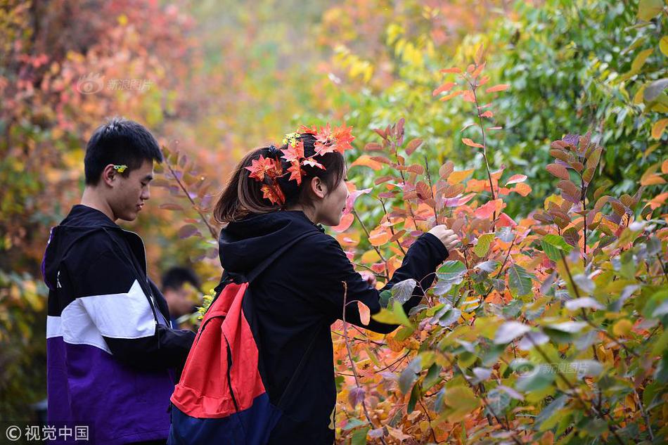 开云苹果下载app相关推荐9