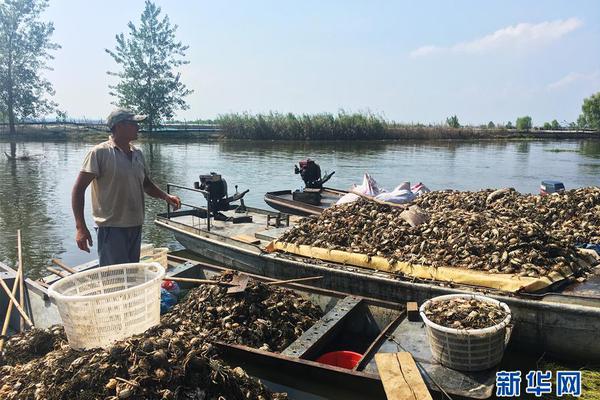 半岛网页版登录入口-半岛网页版登录入口