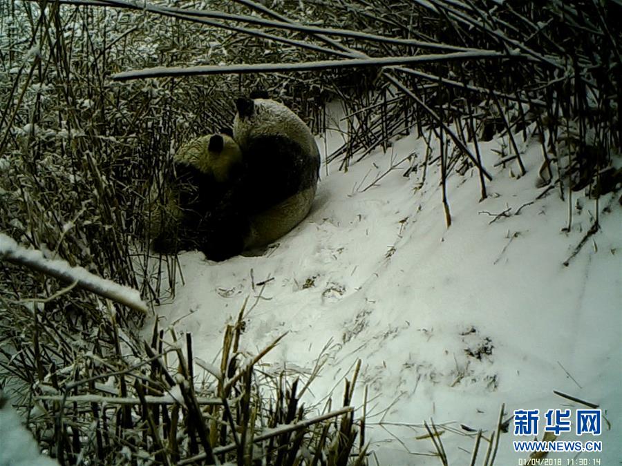 半岛网页版登录入口相关推荐1