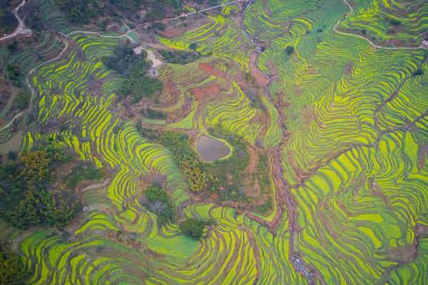 星空体育在线网页版相关推荐10