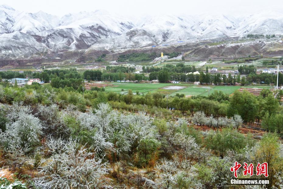 乐鱼在线登录入口-白羊座新月许愿